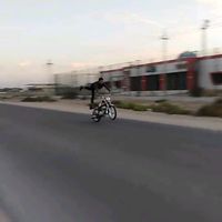 asdzx4566