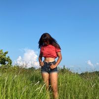 castel_d