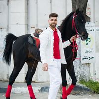 mahdeabosneneh
