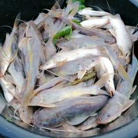 tewasavangchai