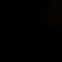alys_1998