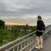 nhạc nền - Dolphin🐬