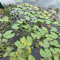 nankurunaisa20.10.24