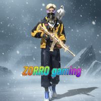 zorro4x