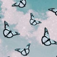 aesthetic..vibess..xo