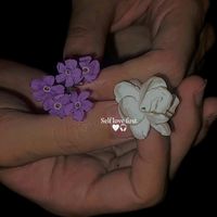 hafsa_noor872