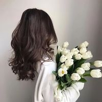 01_shiiifa
