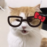 mimei2002x