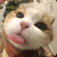 hie_094