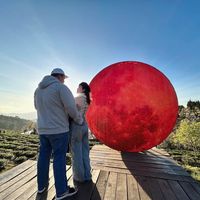 nhạc nền - Trọng Tuấn