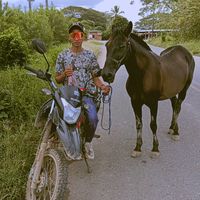 caballada_fz01