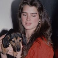 الصوت الأصلي - 𓃴