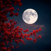 original sound - DeviMatavi