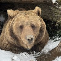 discoverywildlifepark