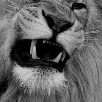 original sound - w30gg.zn