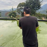 kmilo0525
