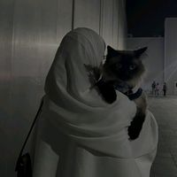 aesthetic_reads0