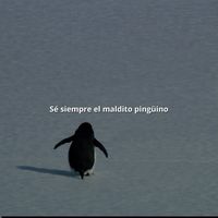 emanuelvillacis61
