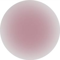 オリジナル楽曲 - momo