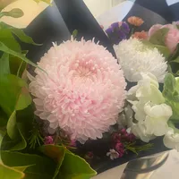 original sound - hope16114