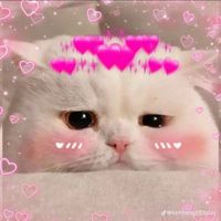 nhạc nền - xá xịiii