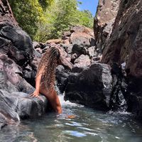jaianymaria