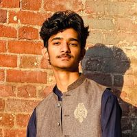 vlogsbymajid_