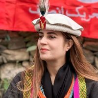 zartaj_gull50