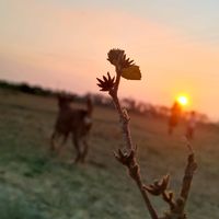 sumyatnwe071