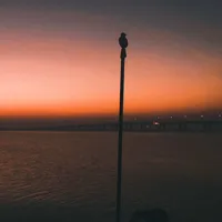 original sound - ineen23