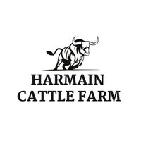 harmaincattlefarm3
