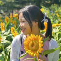 original sound - Kār yār