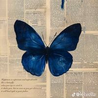 marcelaarias1.4