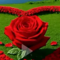 original sound - bijay.ram79