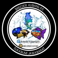 suara asli - Breeder Kubang 05