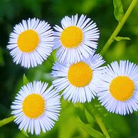 오리지널 사운드 - @OSJ1004-5doljin