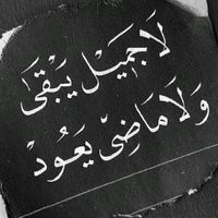 lsaac55a564