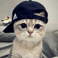 suara asli - HENDRIKGANZ