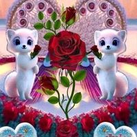 muhmmadshahbaz2755