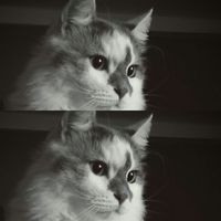 phxtxxxx