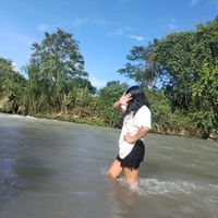 greysi_luliquiz