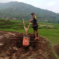 dani.setiawan66