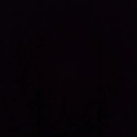 the_erdem_2121