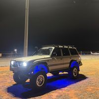 bailey80dolphin