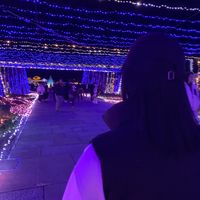 オリジナル楽曲 - 🐒香川のおさる🐒