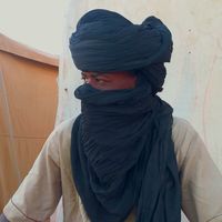 الصوت الأصلي