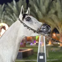 original sound - wwx5ll