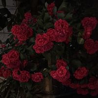 오리지널 사운드 - 클창