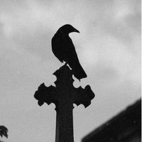 dead.raven666