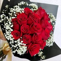 jocelinlopez515